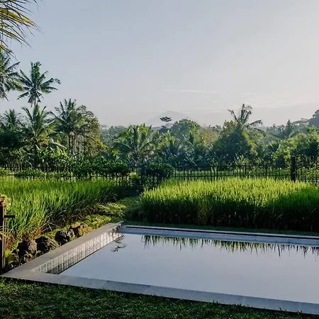Dukuh Ubud Villa #4 Ricefield View